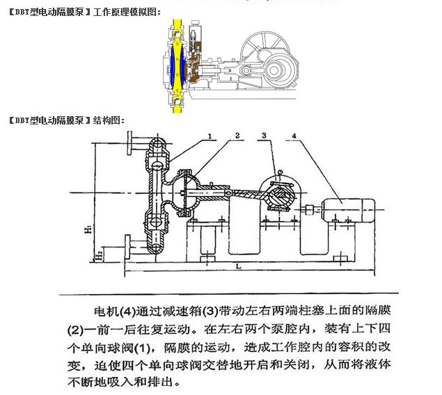 DBY電動(dòng)隔膜泵原理圖